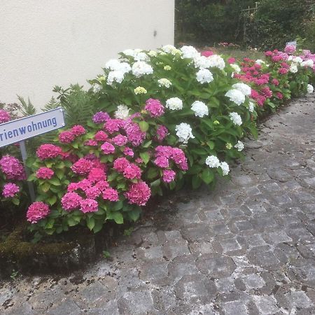 Ferienwohnung Sponheim Traben-Trarbach Exterior photo